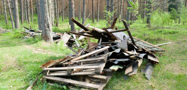Debris Removal Service in Davis