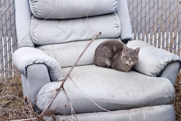 Recliner Disposal in Davis