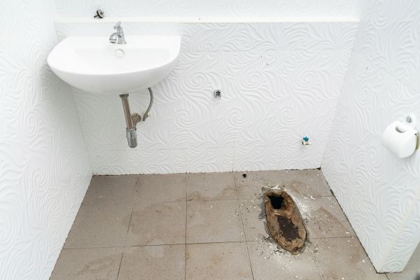 Toilet Disposal in Davis